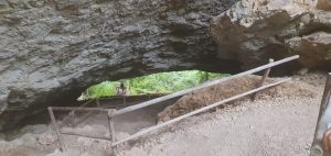 Повишените нива на желязо са ключът към социалната тревожност