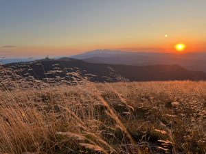 Taobao задълбочава интеграцията с Ele.me след предложения Alibaba може да продаде услугата за доставка · TechNode