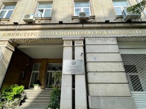 Двойките избират дати, които звучат като любов за брак