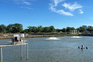 Платформата за късометражни драми ByteDance отговаря на твърдения за „кражба на лице“ с изкуствен интелект, премахва сериали поради неразрешено използване на лице · TechNode