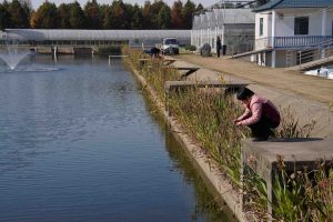 Шанхайският университет разкрива устойчива, ефективна система за пречистване на вода