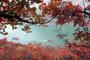 Китай постига ключови резултати в 10-годишната забрана за риболов на река Яндзъ